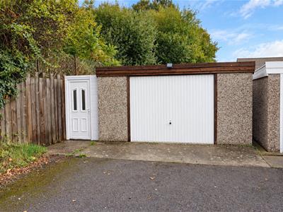Picture 21